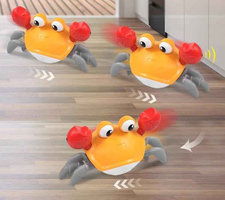 Caranguejos Fujão interativo - Paradigma Center