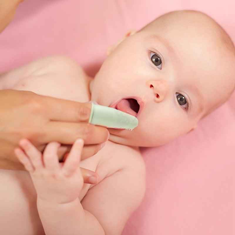 Escova dental massageadora - Paradigma Center